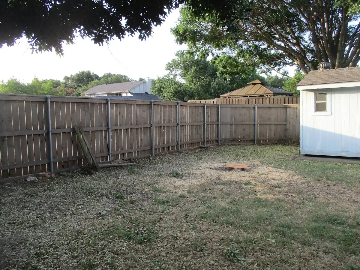Cleared yard after professional tree removal in Dover Afb