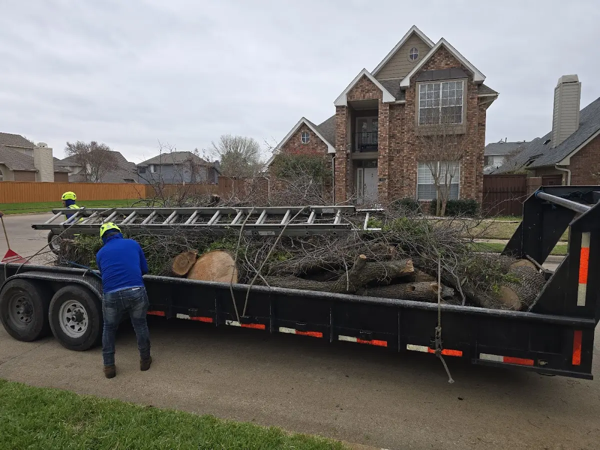 Expert Tree Fertilization with proper safety equipment in Dover Afb